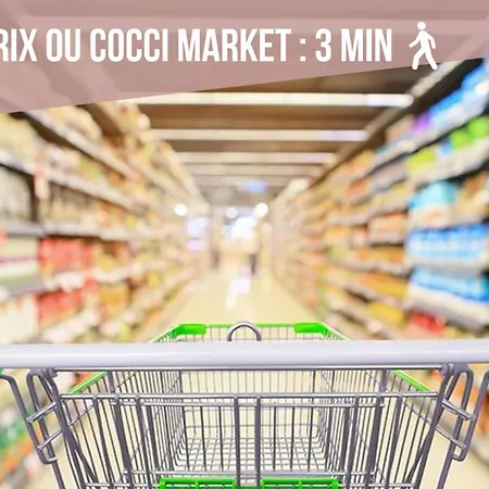 Ideal Pro Et Famille En Hypercentre - 3 Lits
